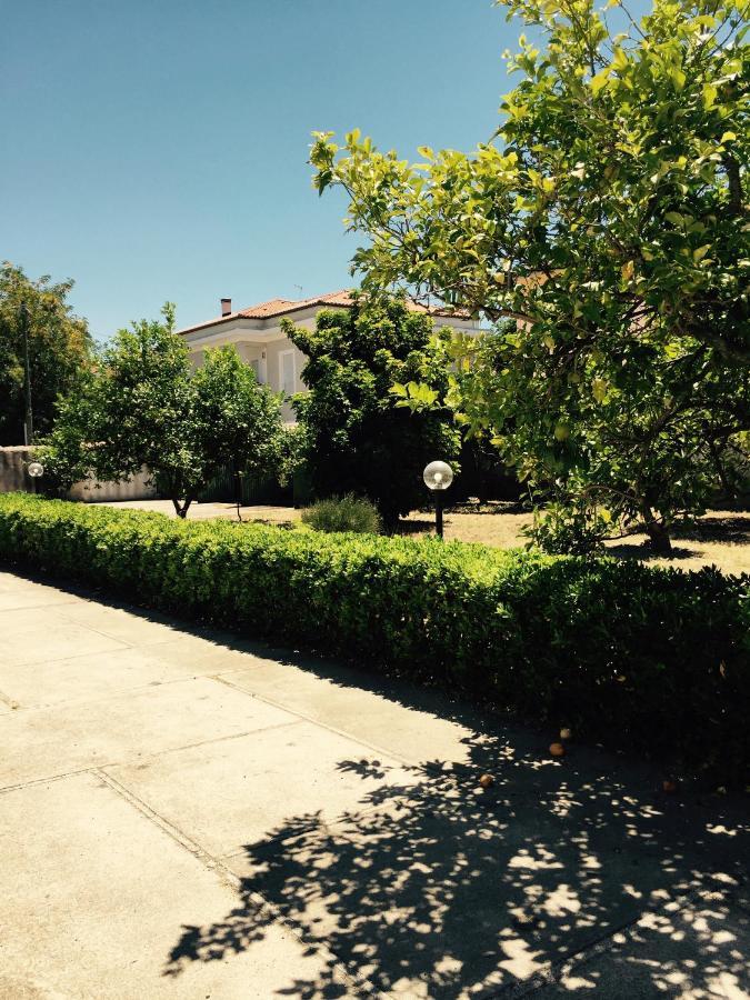 Casa Eleonora Con Parcheggio * Oristano